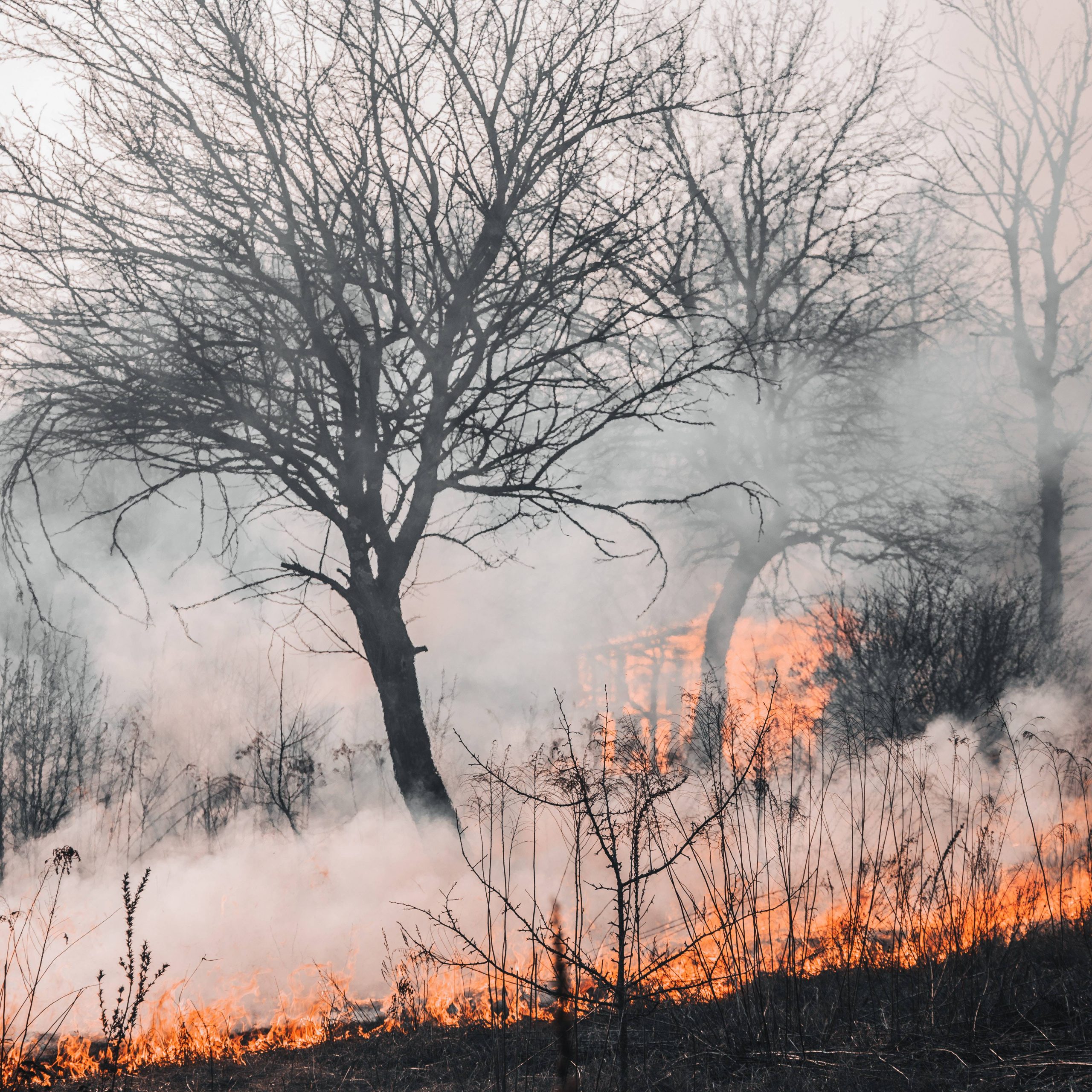 Orman yangını Tespitinde Altın Zaman Dilimi​