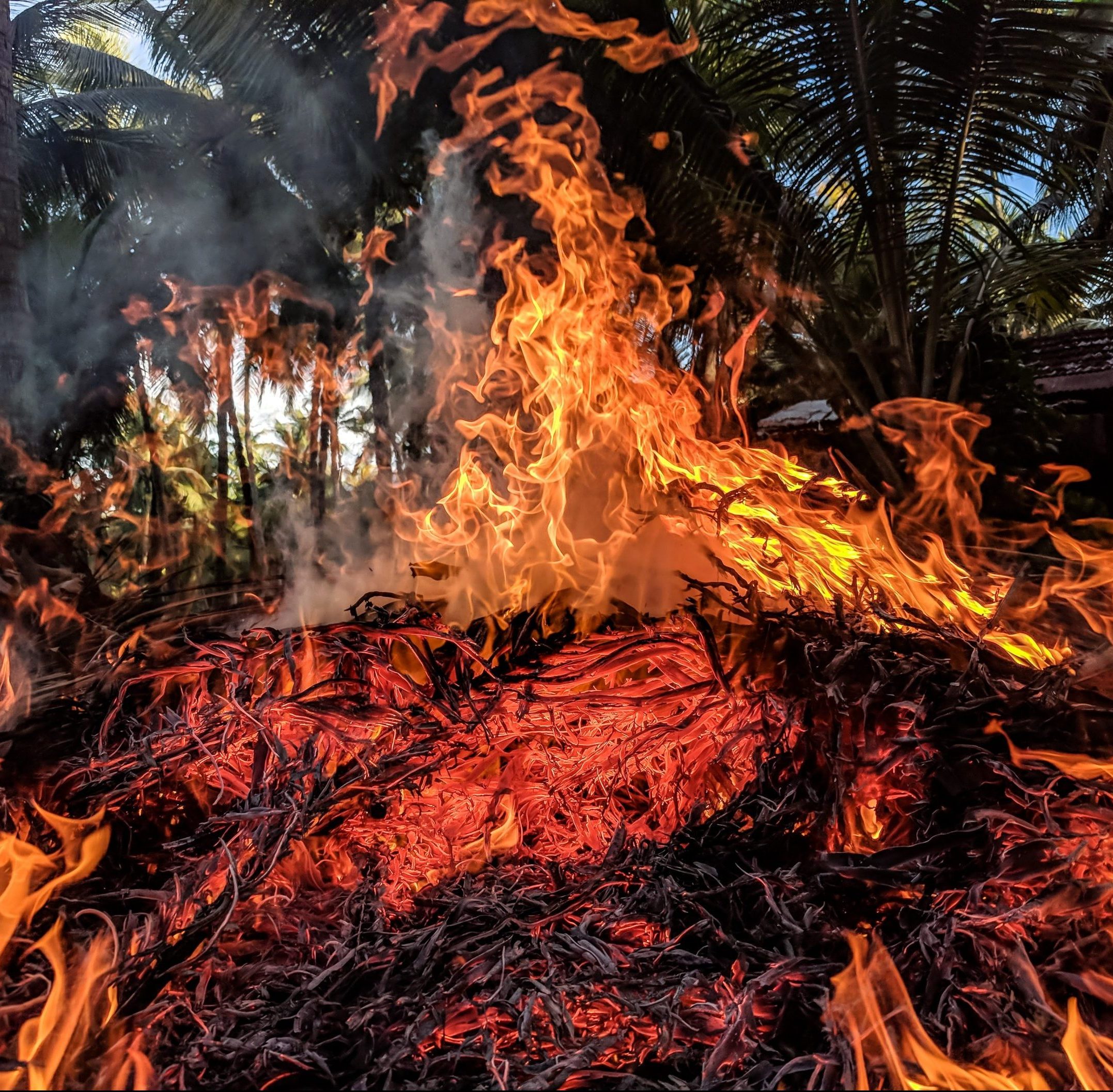 İklim Değişikliği ve Orman Yangınları Arasındaki Bağlantı